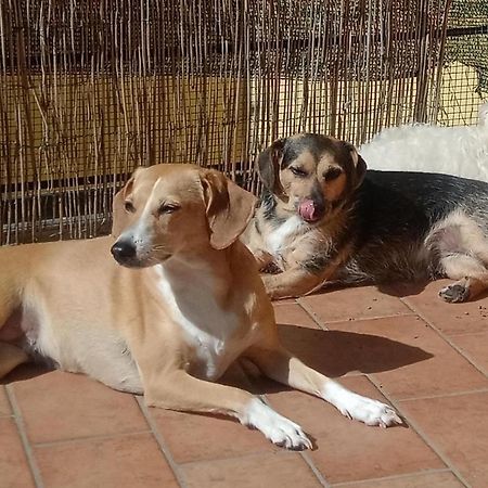 L'angolo di Betti Rivergaro Esterno foto