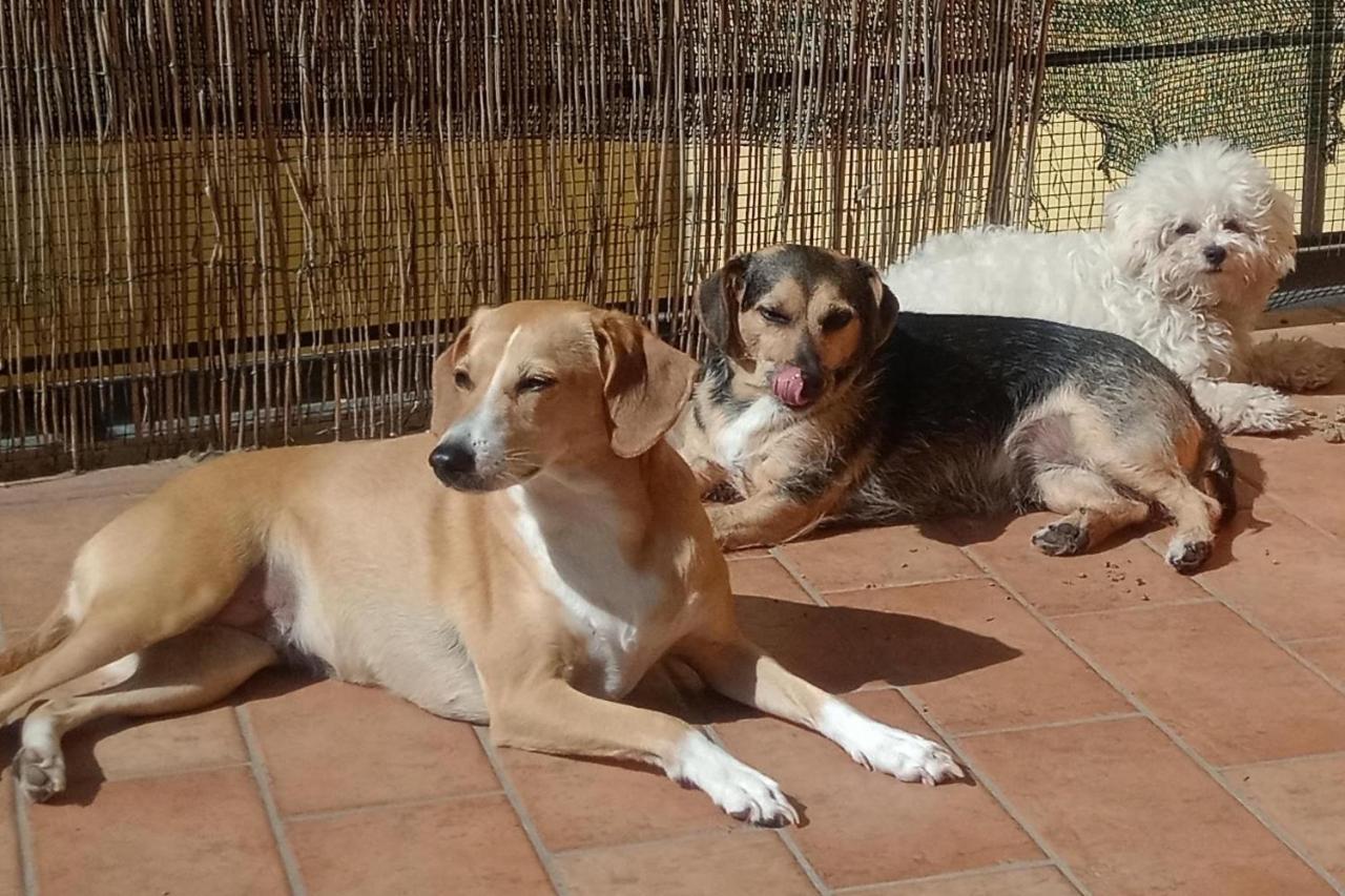 L'angolo di Betti Rivergaro Esterno foto